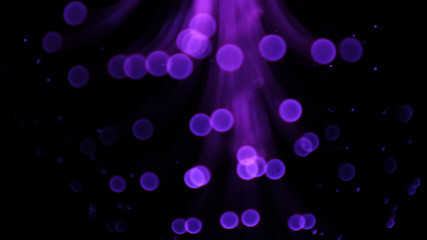 Bokeh images from LED lighting trees use various color blurring methods.