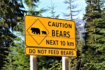 Yellow Caution Bears Road Sign. With big bear and little baby bear. Next 10 km. Do not feed bears in Western Canada