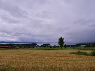 Fototapeta premium road in summer to Ostersund, town in Sweden
