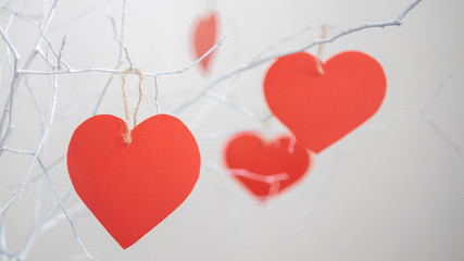 red hearts hanging on white branches background. St valentine's day holiday concept