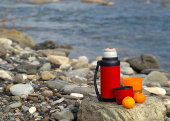 picnic on the shore of a mountain river. thermos, mugs and fruits. lifestyle background 