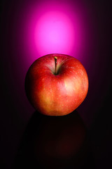 Apple with pink neon background the neon series 
