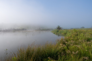A mountain lake surrounded by sedge and other lake plants