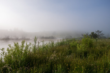 A mountain lake surrounded by sedge and other lake plants