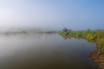 Fototapeta premium A mountain lake surrounded by sedge and other lake plants