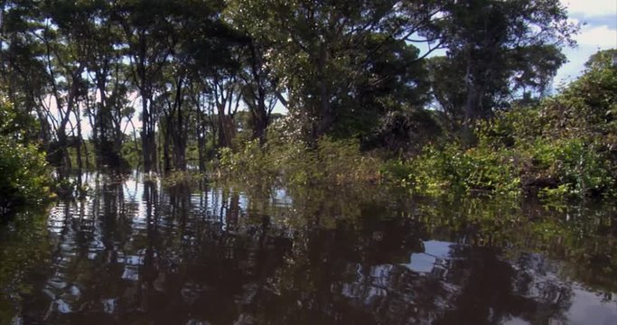 Amazon River, Riverscape, River Sanctuary, Brazil:  The River of the Dead, Xingu River, the Pantanal, Mato Grosso, Amazon Rainforest, Amazon River, Northern Brazil, Brazil