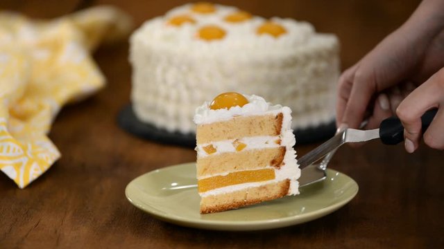 Slice of fresh cake with peach and cheesy cream.