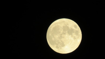 Naklejka premium Full moon