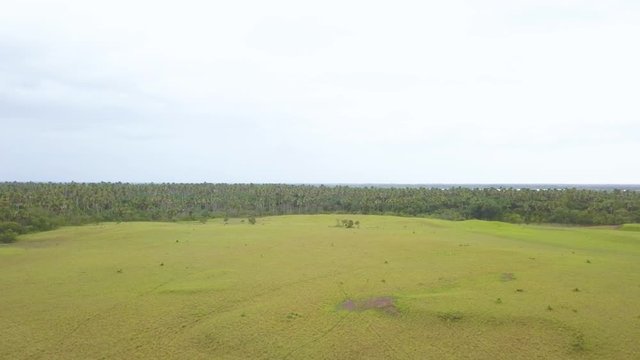 Aerial drone video, in the plain of Vichada - Colombia, near the Meta river.