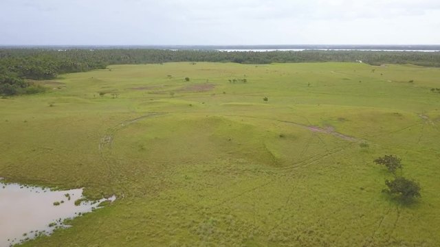 Aerial drone video, in the plain of Vichada - Colombia, near the Meta river.