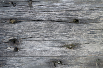 Texture of old wood plank closeup. Harvesting texture for design. Background from a textural gray board with.