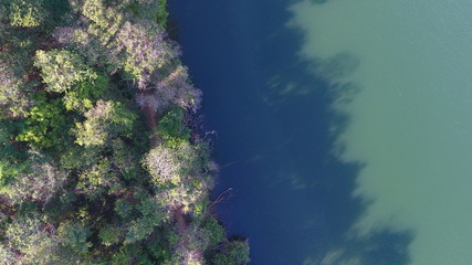 laghoa d ebaixa verde e floresta