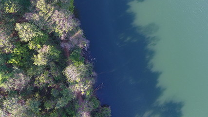 lagoa de baixa verde/ mg