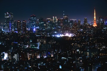 Fototapeta premium 東京の夜景