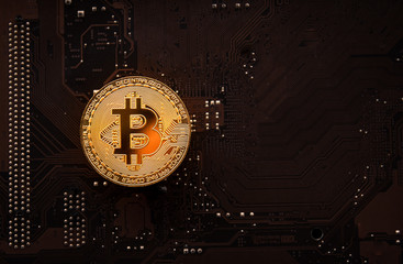 Gold bitcoin on computer circuit board, Mining bitcoin concept. 