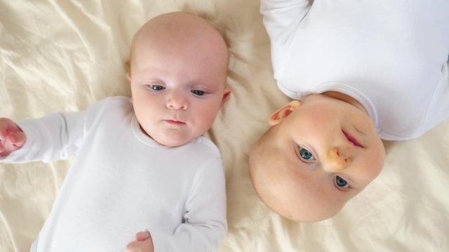 Newborn Twin Babies Lying Together