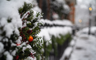 A Wreath Covered In Snow Hangs Along A Sidewalk