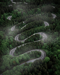 Road through the forest . Aerial drone photo