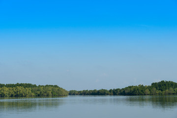 Obraz premium A large river with a mangrove forest as a backdrop under the blue sky. At Shrine of king Taksin Chanthaburi Thailand.