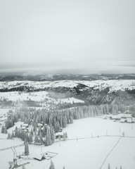 Snow over the trees from aerial drone view