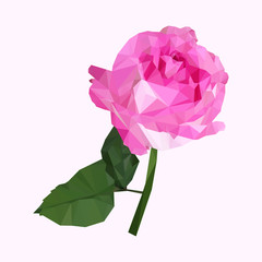geometric polygonal pink rose with stalk, isolated polygon vector flower illustration