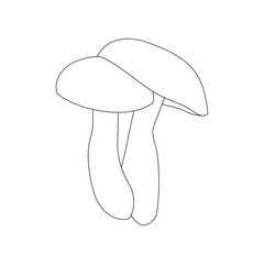 Two mushrooms on white background. Hand drawn. Line icon. Vector illustration.