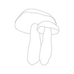 Two mushrooms on white background. Hand drawn. Line icon. Vector illustration.