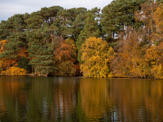 Fototapeta na wymiar lake reflecting trees in autumn colours
