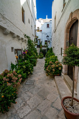 Scenic sight, street view from the beautiful town of Locorotondo, Bari province, Apulia, Puglia , Southern Italy. Narrow whitewashed residential pedestrian street with several potted blooming flowers