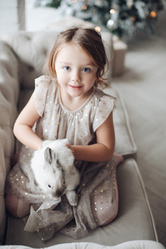 Stock photo portrait of cute little girl in festive dress with lovely bunny in her arms sitting on couch. Unfocused decorated Christmas tree in background.