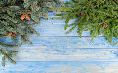 blue wooden background with fir branches.