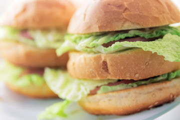 two big burgers close-up bokeh