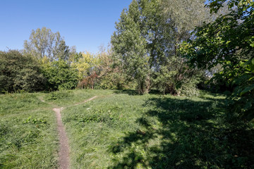 Fototapeta na wymiar Paths through park area of Goclaw housing estate