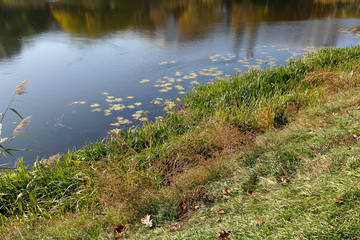 The shore of the lake in the Goclaw district