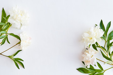 Flat lay composition with white peonies on a white background