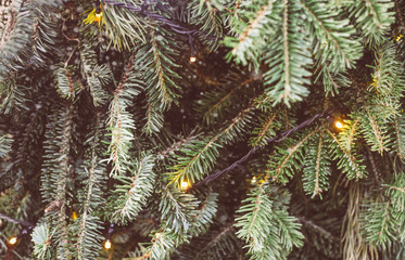 Naklejka na ściany i meble Close up of Christmas tree with lights and decorations, winter festive background