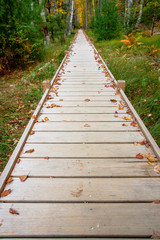 Fototapeta premium Acadia National Park fall hiking