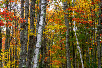 Acadia National Park fall hiking