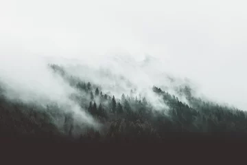 Küchenrückwand Plexiglas Nach Farbe Stimmungsvolle Waldlandschaft mit Nebel und Nebel