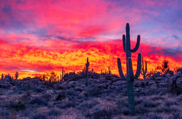 Blazing Hot Sunrise In Arizona Desert Near Phoenix