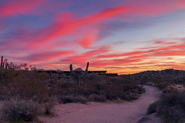 Desert Hiking Trail At Browns Ranch Scottsdale, AZ
