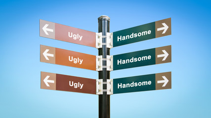 Obraz premium Street Sign Handsome versus Ugly