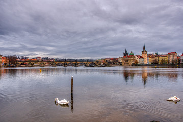 Gorgeous view of Charles Bridge with swans in the foreground, Prague