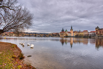 Fototapeta na wymiar Gorgeous view of Charles Bridge with swans in the foreground, Prague