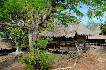 Indonesia Alor - traditional houses
