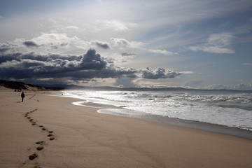 Footsteps in sand at Marina State Beach Monterey County California