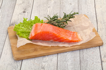 Piece of raw salmon