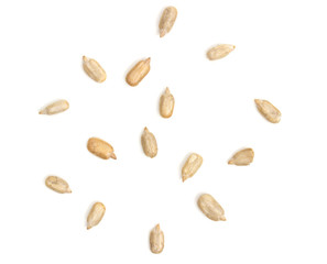 kernel,sunflower seeds on a white isolated background