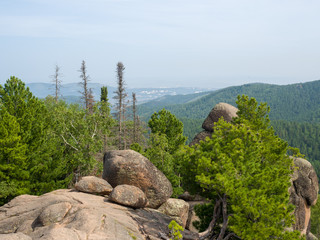 Beautiful view of ancient stone rocks and cedars in the Siberian reserve. Summer sunny day