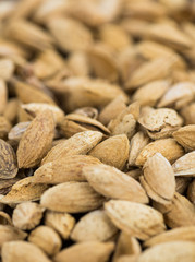 Fototapeta premium Roasted Almonds (in shell) as background image